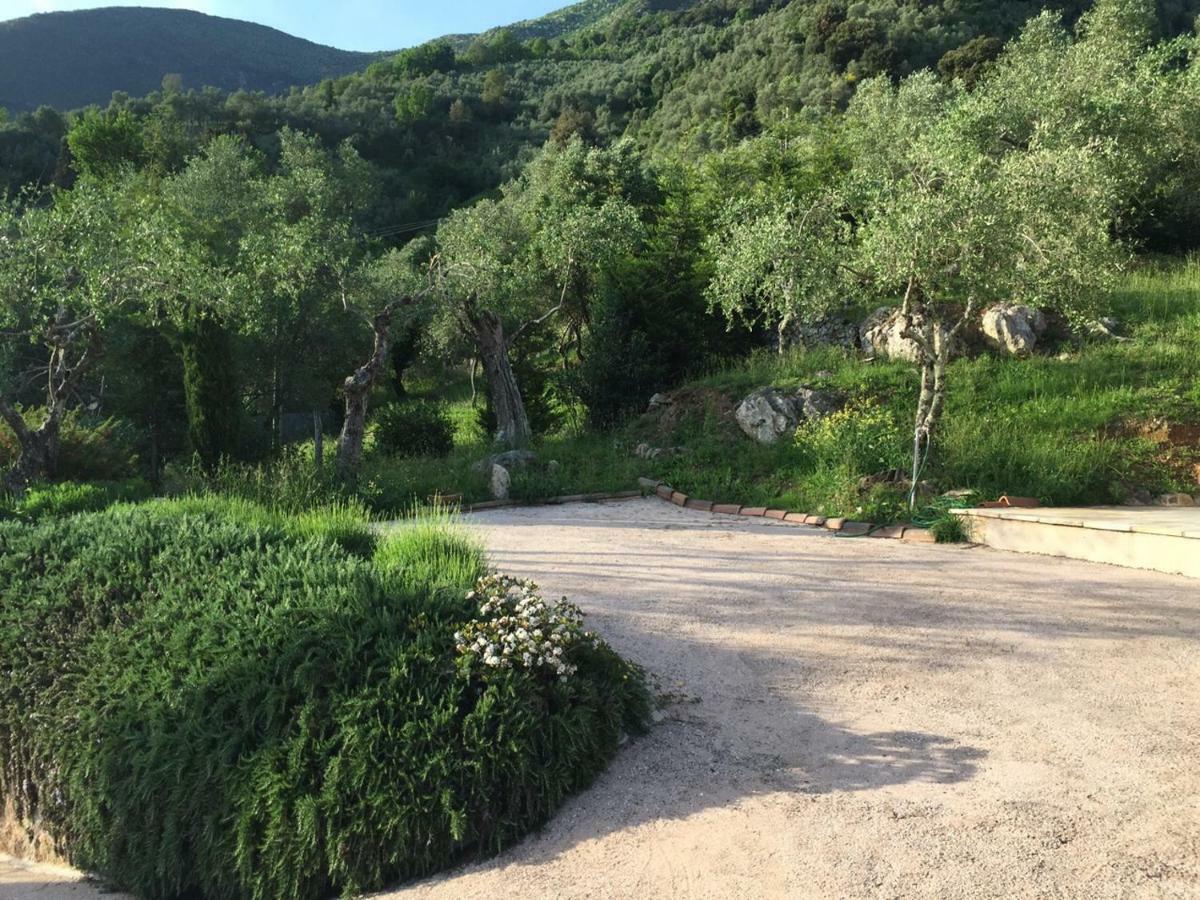Valuable Rustic Tuscan Swimming Pool, Breathtaking View Of Camaiore Exterior foto